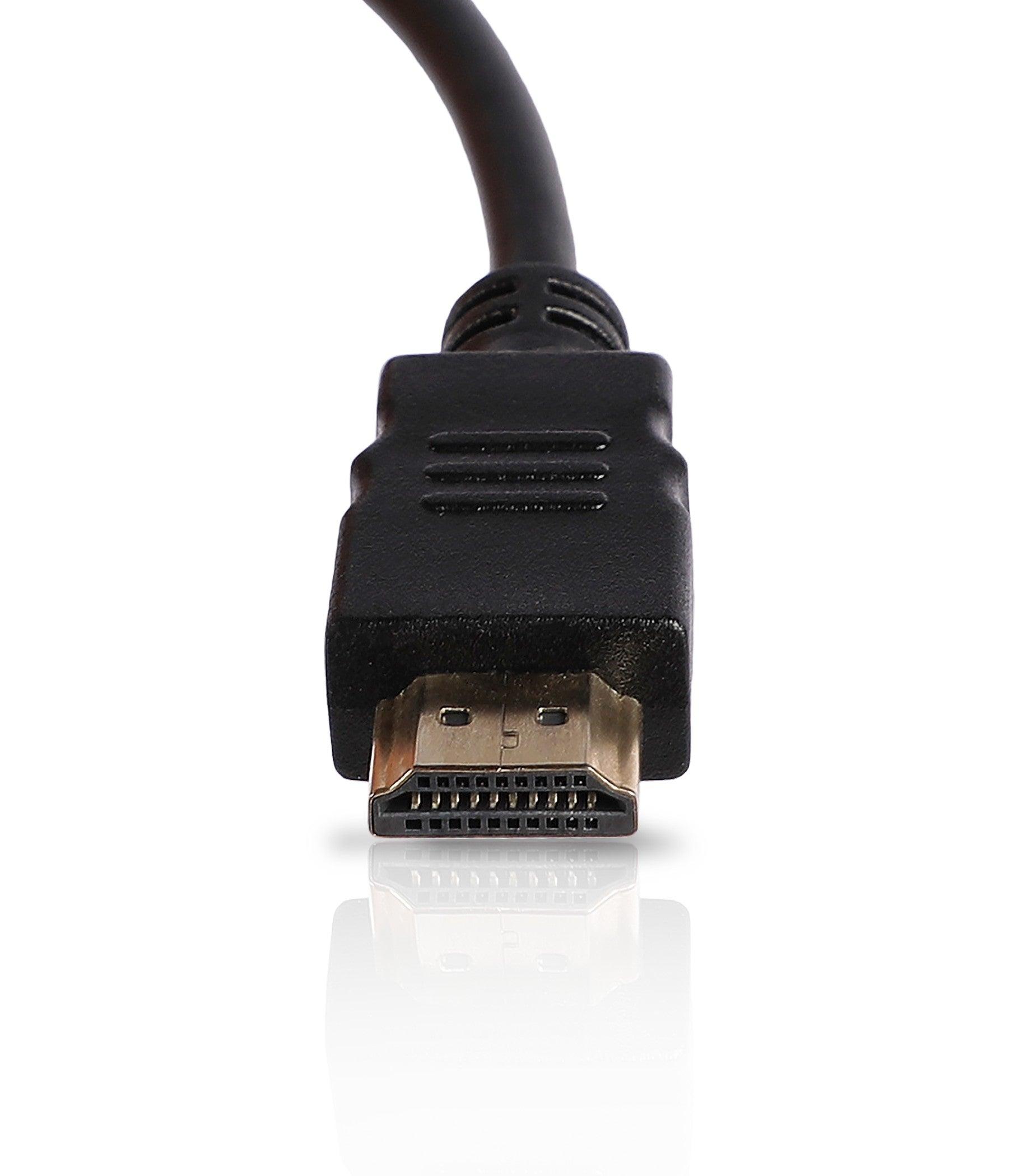 Adapter hdmi best sale to vga